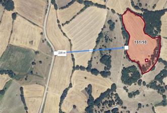 C21 BAL'DAN BALIKESİR YAĞCILAR'DA 15.500 DÖNÜM SATILIK TARLA - 1 - 29871