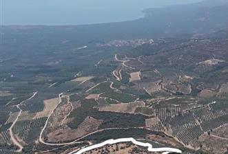 C21 Cius; İznik Ömerli'de Köşe Parsel 49.410 m2 Satılık Arazi - 3 - 29849
