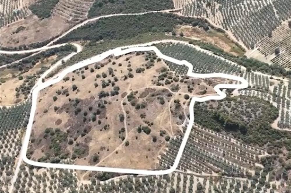 C21 Cius; İznik Ömerli'de Köşe Parsel 49.410 m2 Satılık Arazi