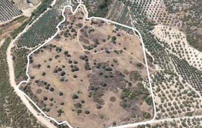 C21 Cius; İznik Ömerli'de Köşe Parsel 49.410 m2 Satılık Arazi