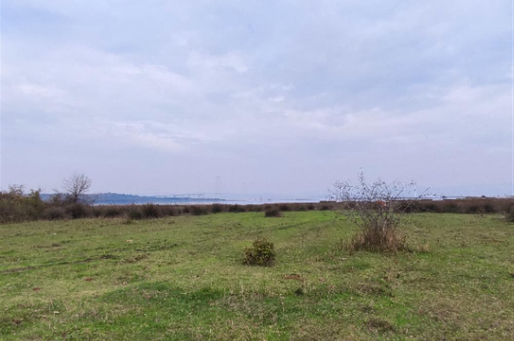 Kaytazderede 7.443 m² / 7 Parsel Tek Portföy 