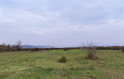 Kaytazderede 7.443 m² / 7 Parsel Tek Portföy 