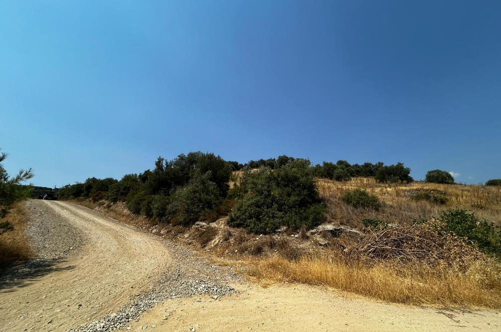 C21 Cius; İznik Ömerli'de Köşe Parsel 49.410 m2 Satılık Arazi