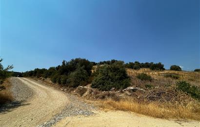 C21 Cius; İznik Ömerli'de Köşe Parsel 49.410 m2 Satılık Arazi