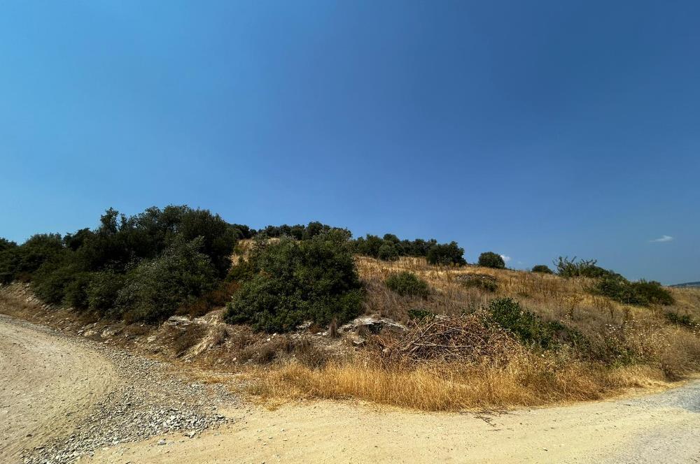 C21 Cius; İznik Ömerli'de Köşe Parsel 49.410 m2 Satılık Arazi