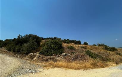 C21 Cius; İznik Ömerli'de Köşe Parsel 49.410 m2 Satılık Arazi