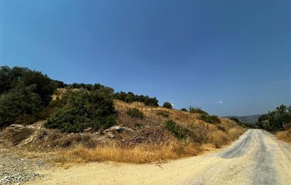 C21 Cius; İznik Ömerli'de Köşe Parsel 49.410 m2 Satılık Arazi