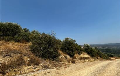 C21 Cius; İznik Ömerli'de Köşe Parsel 49.410 m2 Satılık Arazi