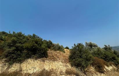 C21 Cius; İznik Ömerli'de Köşe Parsel 49.410 m2 Satılık Arazi