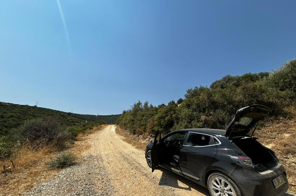 C21 Cius; İznik Ömerli'de Köşe Parsel 49.410 m2 Satılık Arazi