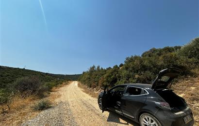 C21 Cius; İznik Ömerli'de Köşe Parsel 49.410 m2 Satılık Arazi