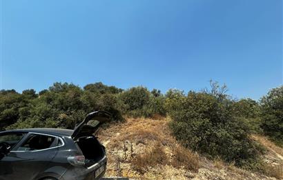 C21 Cius; İznik Ömerli'de Köşe Parsel 49.410 m2 Satılık Arazi