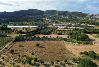 SAKARYA PAMUKOVA BAYIRAKÇAŞEHİR 3115 M2 SATILIK TARLA - 5 - 29723