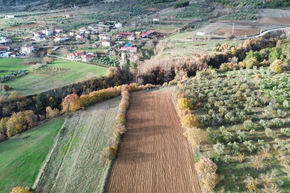 YATIRIM DEĞERİ YÜKSEK,YAŞAMAK İÇİN İDEAL,İSTANBUL'A YAKIN TARLA