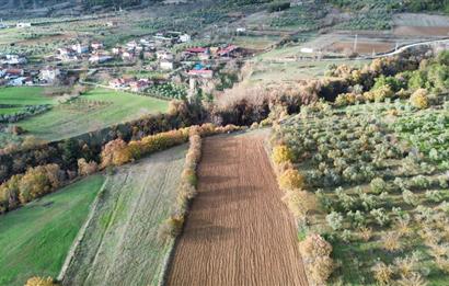 YATIRIM DEĞERİ YÜKSEK,YAŞAMAK İÇİN İDEAL,İSTANBUL'A YAKIN TARLA