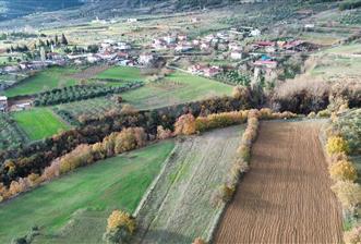 YATIRIM DEĞERİ YÜKSEK,YAŞAMAK İÇİN İDEAL,İSTANBUL'A YAKIN TARLA - 1 - 29899