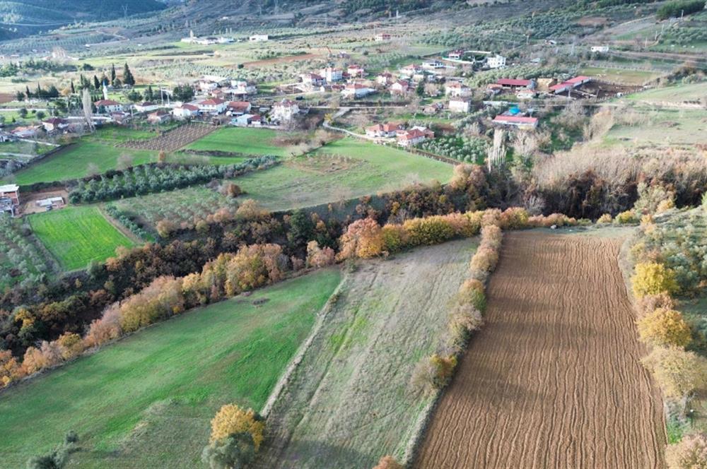 YATIRIM DEĞERİ YÜKSEK,YAŞAMAK İÇİN İDEAL,İSTANBUL'A YAKIN TARLA