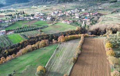 YATIRIM DEĞERİ YÜKSEK,YAŞAMAK İÇİN İDEAL,İSTANBUL'A YAKIN TARLA