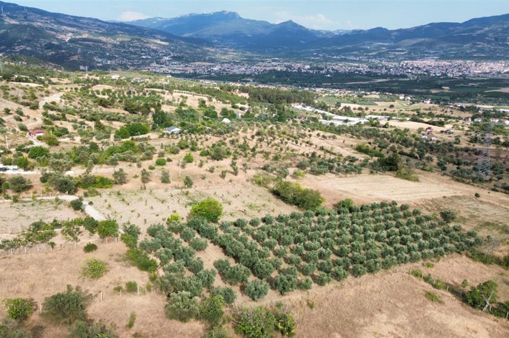 SAKARYA PAMUKOVA'NIN BALKONU BAYIRAKÇAŞEHİR'DE