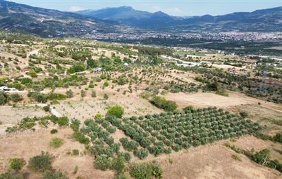 SAKARYA PAMUKOVA'NIN BALKONU BAYIRAKÇAŞEHİR'DE