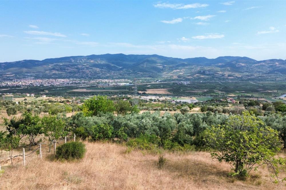 SAKARYA PAMUKOVA'NIN BALKONU BAYIRAKÇAŞEHİR'DE
