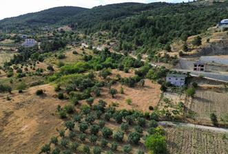 SAKARYA PAMUKOVA'NIN BALKONU BAYIRAKÇAŞEHİR'DE - 10 - 29841