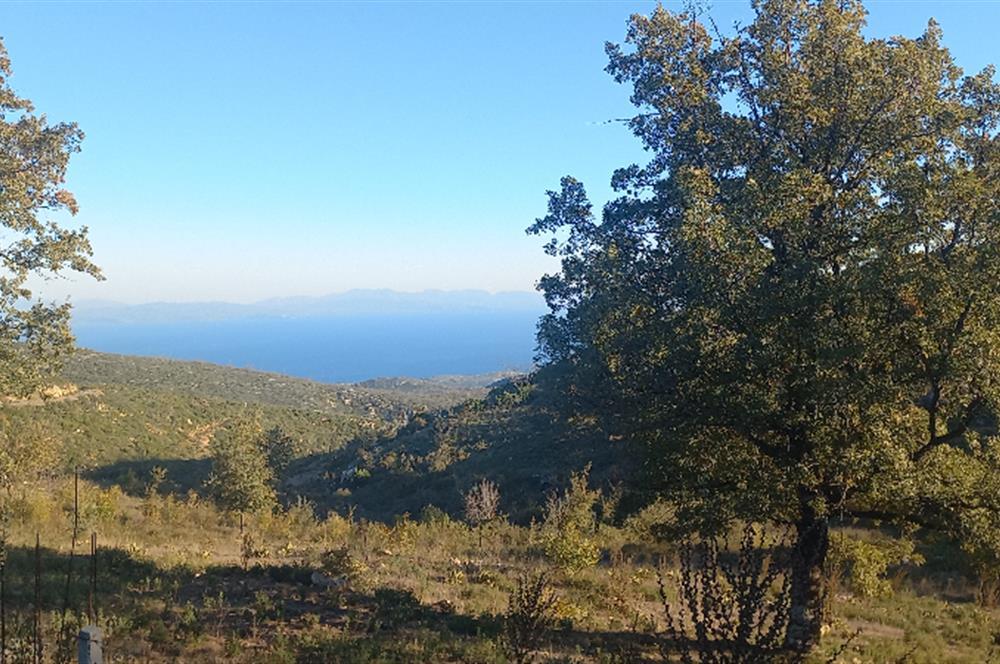 Bodrum Mazı lebiderya deniz manzaralı 17.423 m2 satılık tarla