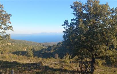 Bodrum Mazı lebiderya deniz manzaralı 17.423 m2 satılık tarla