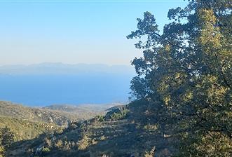 Bodrum Mazı lebiderya deniz manzaralı 17.423 m2 satılık tarla - 4 - 29919