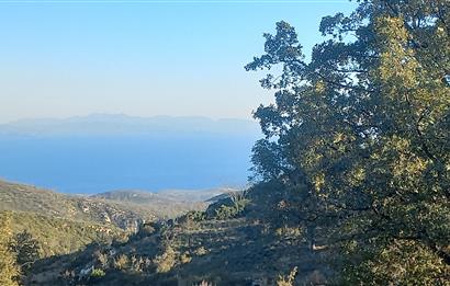 Bodrum Mazı lebiderya deniz manzaralı 17.423 m2 satılık tarla