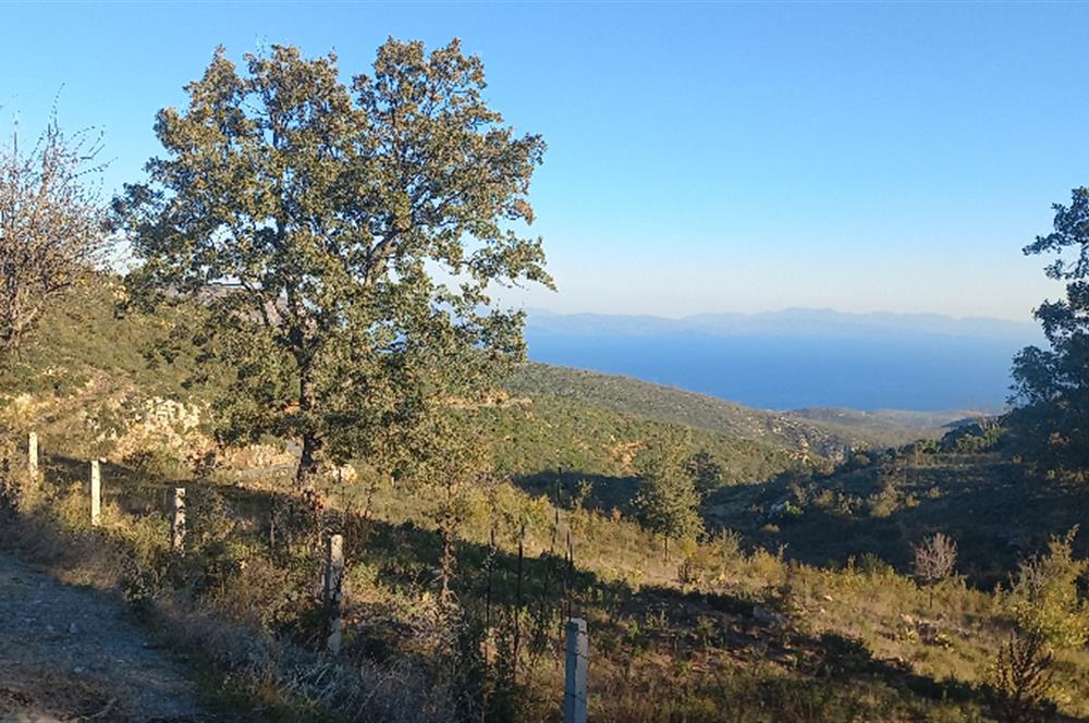 Bodrum Mazı lebiderya deniz manzaralı 17.423 m2 satılık tarla