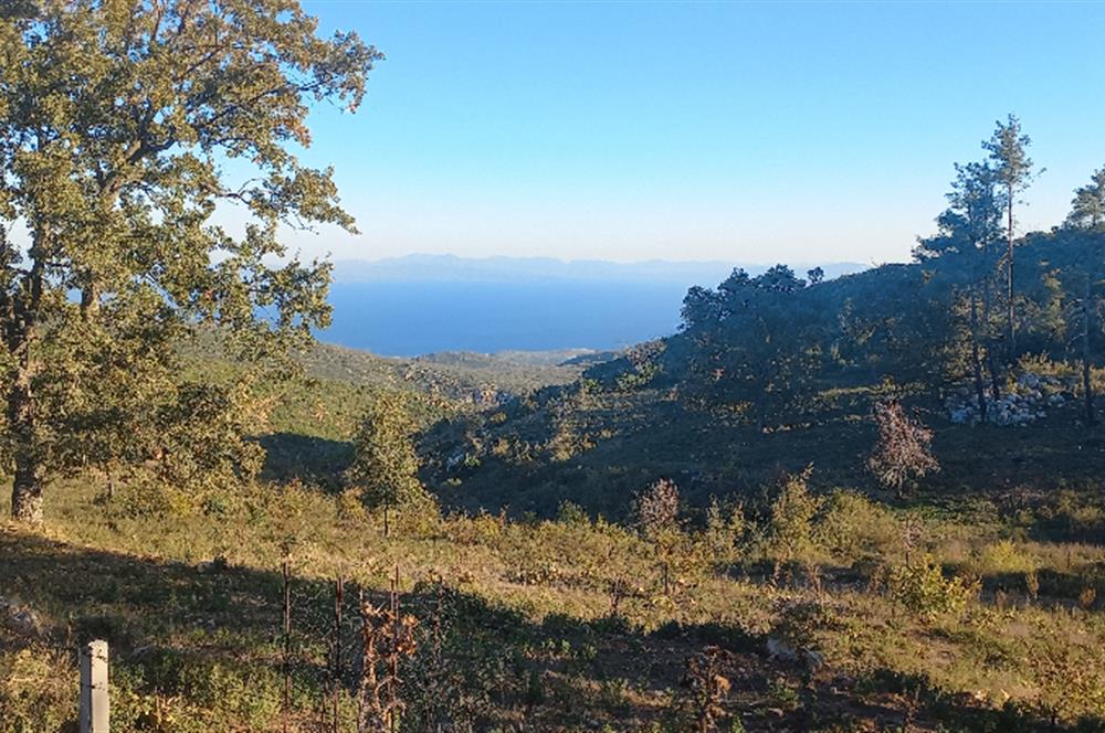 Bodrum Mazı lebiderya deniz manzaralı 17.423 m2 satılık tarla