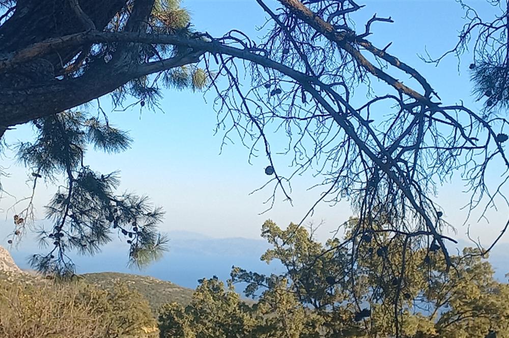 Bodrum Mazı deniz manzaralı, icerisinde kayıtlı ev bulunan satılık tarla