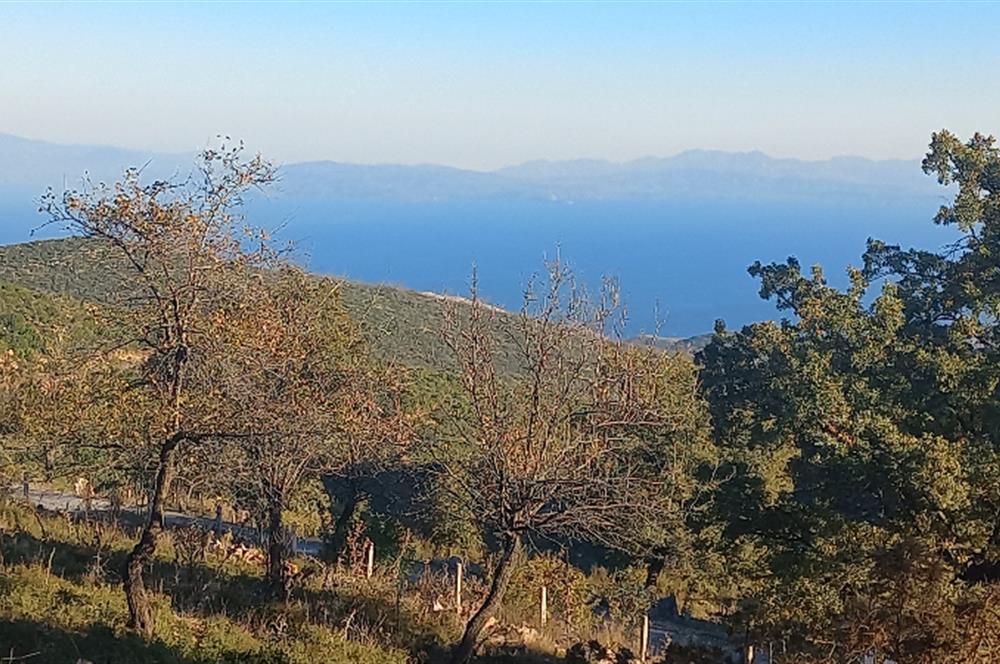 Bodrum Mazı deniz manzaralı, icerisinde kayıtlı ev bulunan satılık tarla
