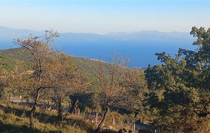 Bodrum Mazı deniz manzaralı, icerisinde kayıtlı ev bulunan satılık tarla