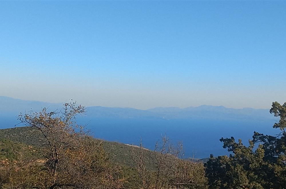 Bodrum Mazı deniz manzaralı, icerisinde kayıtlı ev bulunan satılık tarla