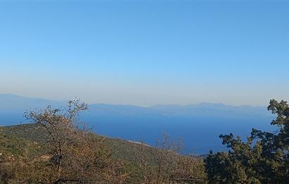 Bodrum Mazı deniz manzaralı, icerisinde kayıtlı ev bulunan satılık tarla