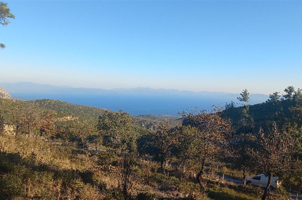 Bodrum Mazı deniz manzaralı, icerisinde kayıtlı ev bulunan satılık tarla