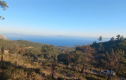 Bodrum Mazı deniz manzaralı, icerisinde kayıtlı ev bulunan satılık tarla
