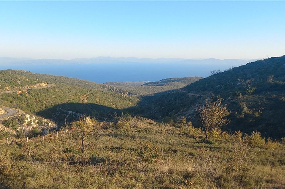 Bodrum Mazı lebiderya deniz manzaralı 17.423 m2 satılık tarla
