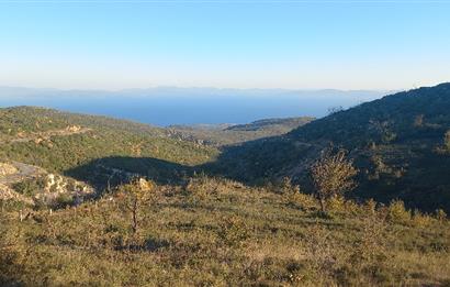 Bodrum Mazı lebiderya deniz manzaralı 17.423 m2 satılık tarla