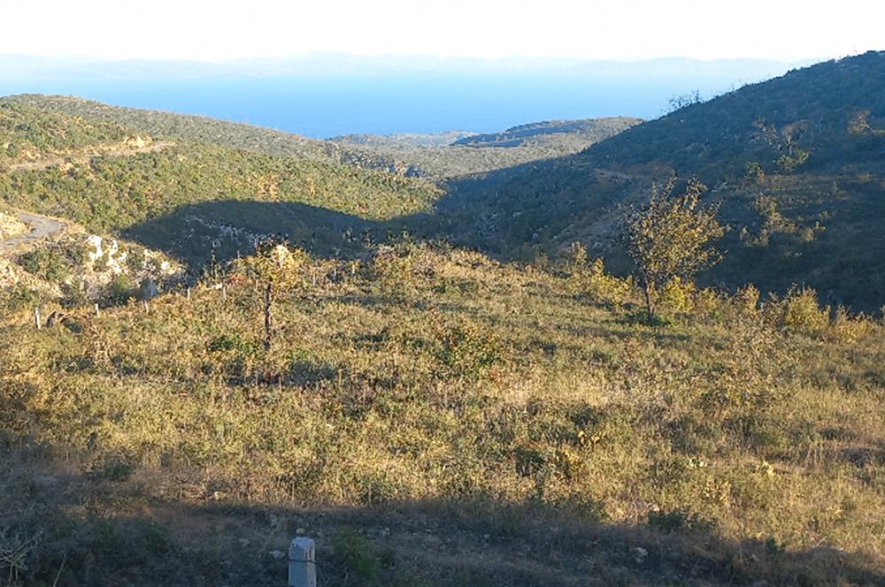 Bodrum Mazı deniz manzaralı, icerisinde kayıtlı ev bulunan satılık tarla