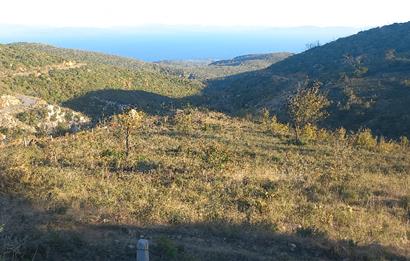 Bodrum Mazı deniz manzaralı, icerisinde kayıtlı ev bulunan satılık tarla
