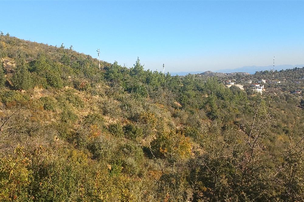 Bodrum Mazı lebiderya deniz manzaralı 17.423 m2 satılık tarla