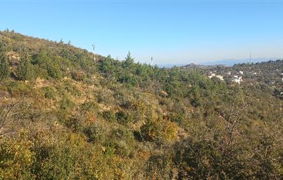 Bodrum Mazı lebiderya deniz manzaralı 17.423 m2 satılık tarla