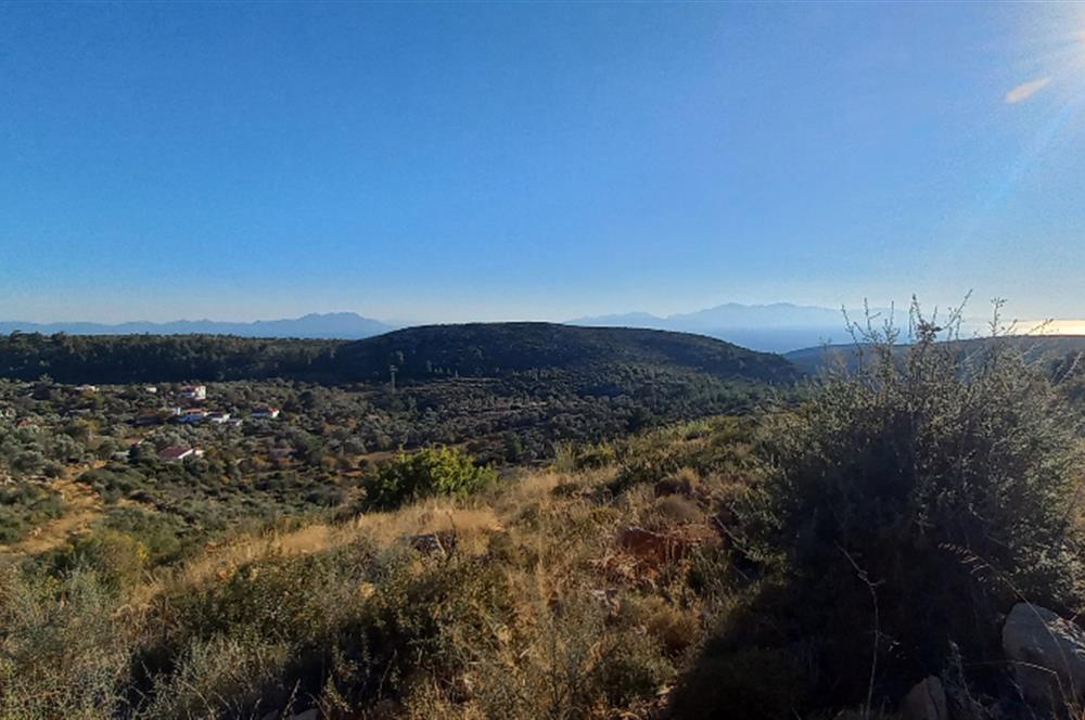 Bodrum Mazı lebiderya deniz manzaralı 17.423 m2 satılık tarla