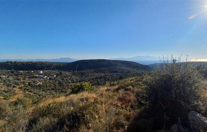 Bodrum Mazı lebiderya deniz manzaralı 17.423 m2 satılık tarla
