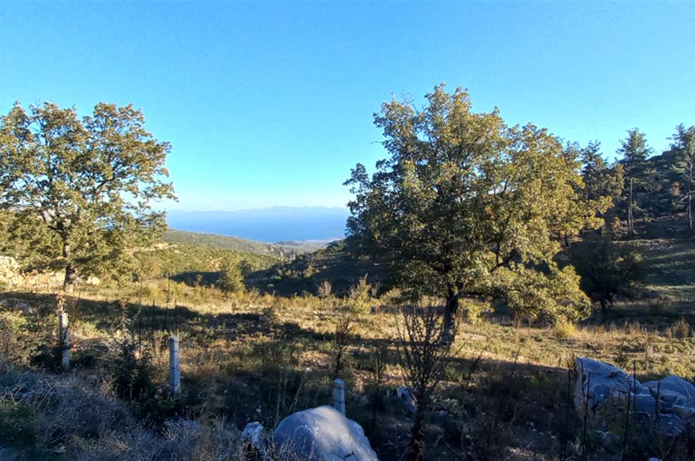 Bodrum Mazı lebiderya deniz manzaralı 17.423 m2 satılık tarla