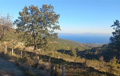 Bodrum Mazı deniz manzaralı, icerisinde kayıtlı ev bulunan satılık tarla