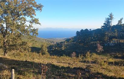Bodrum Mazı lebiderya deniz manzaralı 17.423 m2 satılık tarla